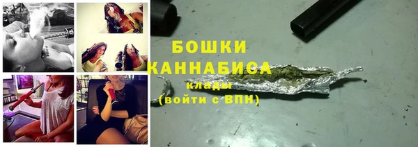 гидра Няндома