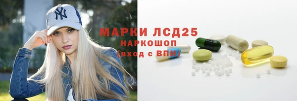 гидра Няндома