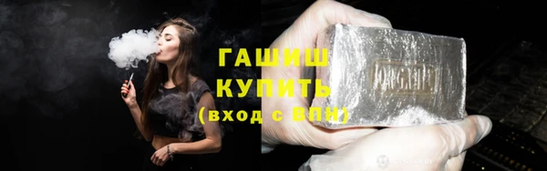гидра Няндома