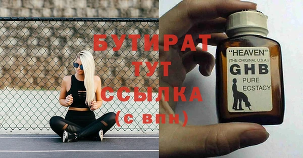 гидра Няндома