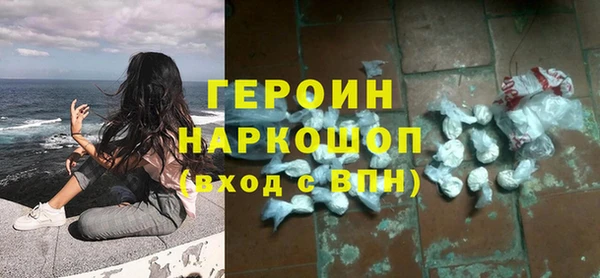 гидра Няндома