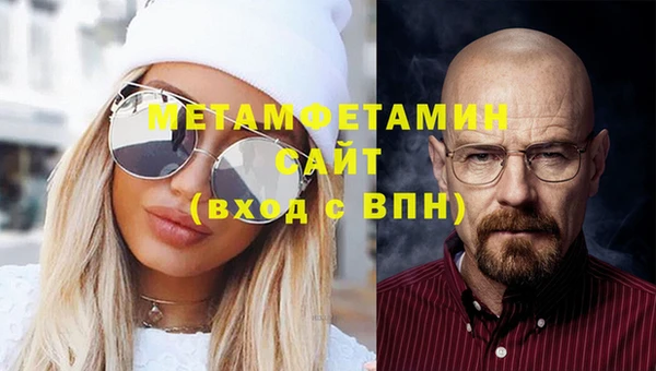 гидра Няндома