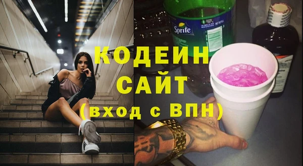 гидра Няндома