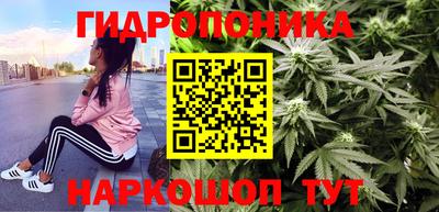 гашик Будённовск