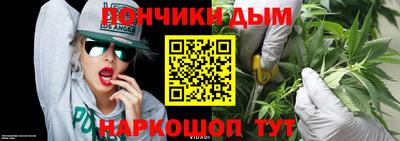 гашик Будённовск