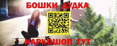 гашик Будённовск