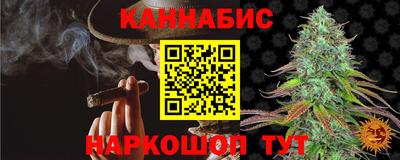 гашик Будённовск