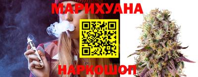 гашик Будённовск
