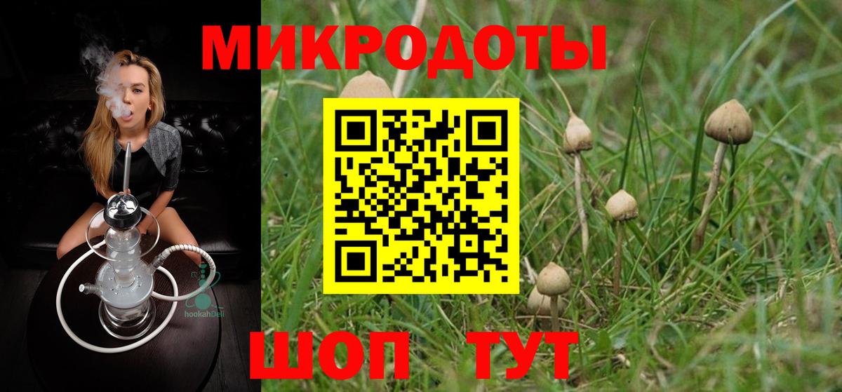 Галлюциногенные грибы Cubensis  Псилоцибиновые грибы GOLDEN TEACHER  Зеленокумск  Вход с VPN 