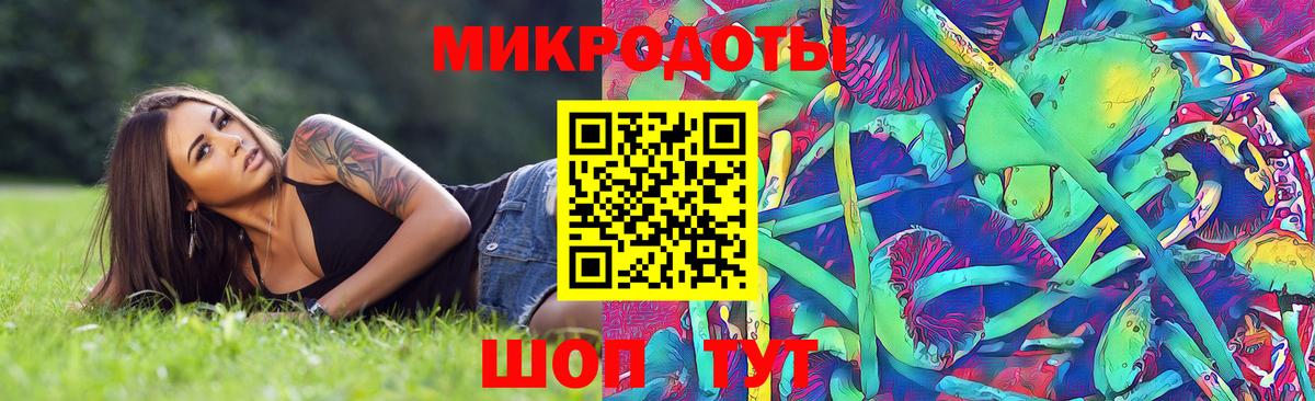 Галлюциногенные грибы Psilocybe  Зеленокумск  Псилоцибиновые грибы прущие грибы 